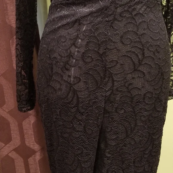 Plunging Neckline Sheer Lace Jumpsuit With Black And Silver Heart Shaped Pastie - Picture 4 of 5